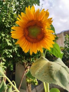 ﴿وفاداری لطف نیست 
بخشی از اصالت است!🤌🏻﴾