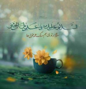 #سلام_امام_زمانم ✋

📖 السَّلامُ عَلَیْکَ یا عَدیلَ الْخَیْرِ...

🌱 سلام بر تو ای مولایی که هرکس تو را یافت به تمام خیر و خوبی‌ها رسیده. 
سلام بر تو و بر روزی که با آمدنت، زمین از خیر و خوبی لبریز خواهد شد.

📚 صحیفه مهدیه، زیارت حضرت بقیة الله ارواحنا فداه در سختیها، ص578.

#السلام_علیک_یا_بقیه_الله
#اللهم_عجل_لولیک_الفرج_بحق_حضرت_زینب_الکبری_صلوات_الله_علیها 