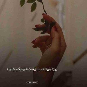 👌👌👌👌🌹🌹🌹🌹