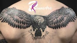 داداش محمد عقابت مبارک 