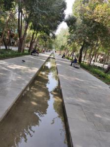 صبح عالیتون متعالی