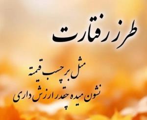 طرز رفتارت نشون دهنده...