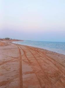 بفرمایید شنا..