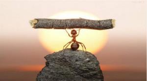 🖤ریز میبنمت🖤👌👌👌