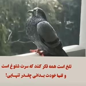 واقعیت زندگی خیلی از ماهاااااا