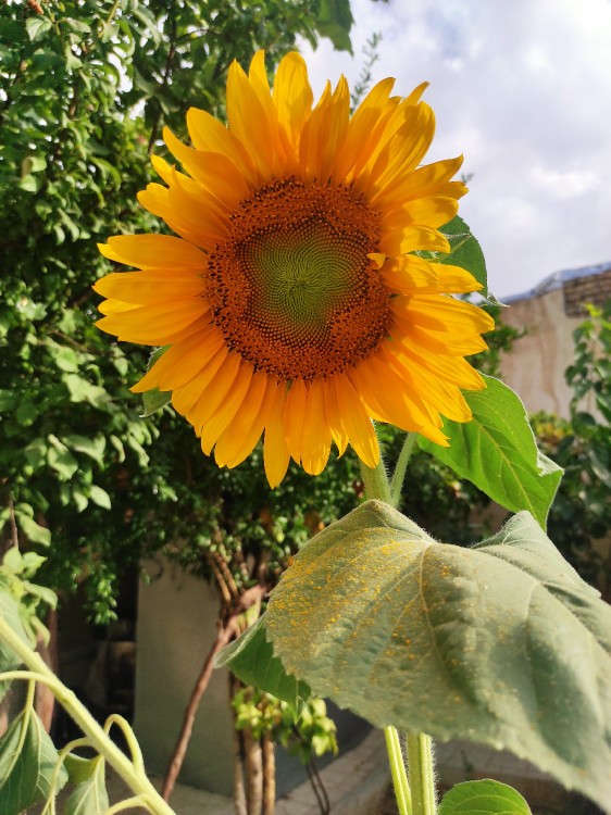 ﴿وفاداری لطف نیست 
بخشی از اصالت است!🤌🏻﴾