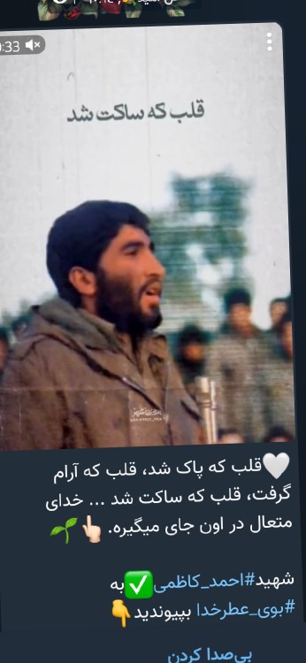 روحش شاد  و یادش گرامی باد💕💕💚