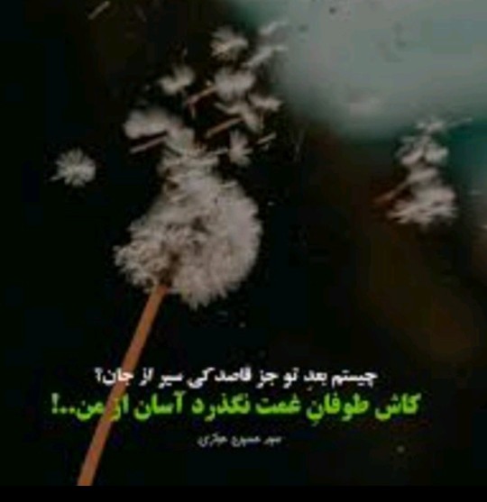 شعر 