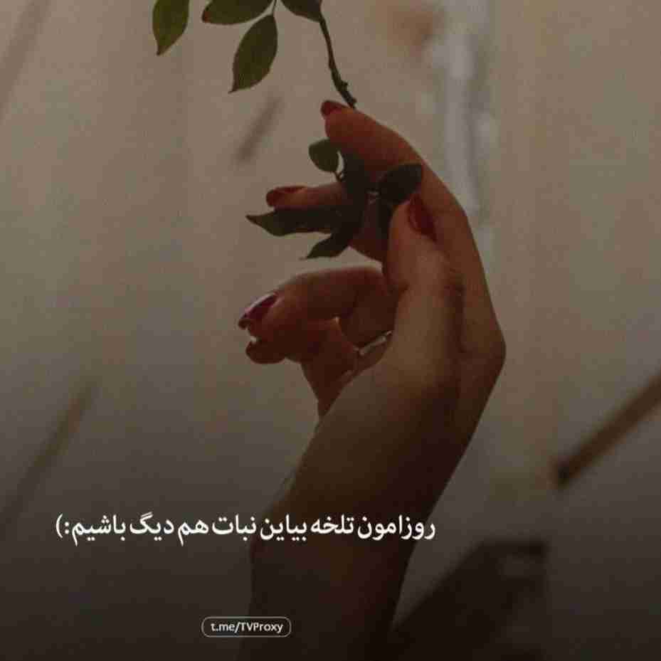 👌👌👌👌🌹🌹🌹🌹