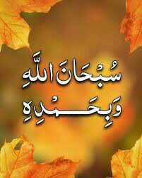 خدا را شکر که خالق هستی هر جا نظارگر ما هست