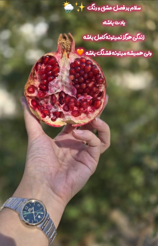 سلام ....صبحتون خوش🌹