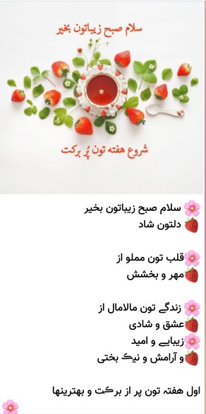 سلام دوستان گلم صبح اول هفته تون بخیروپربرکت وبهترین ها💚❤️