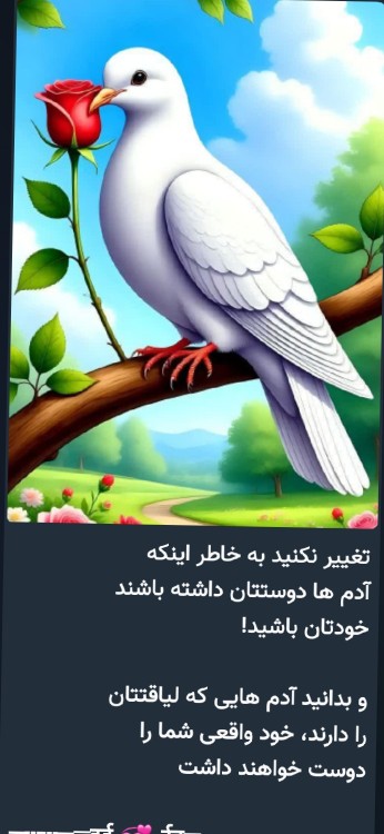 آدم واقعی کمه که تو را برای خودت دوست داشته باشه