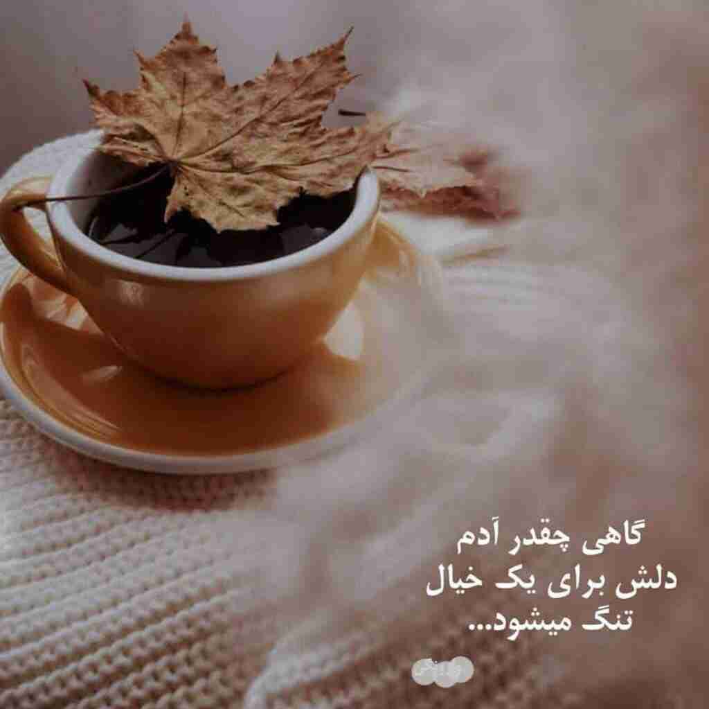 🌹🌹🌹🌹😊😊😊😊