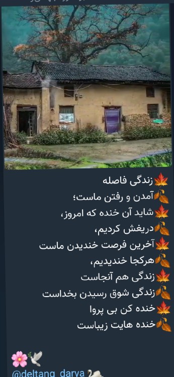 🌹🙂🌹🙂💚🌹💚🙂