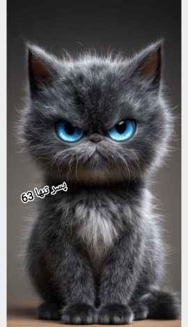 گربه چشم آبی 💙 بد اخلاق 🤣😂