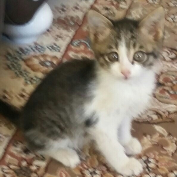 گالری گوشیمو پاک میکردم دیدم عکس بچگی دخمل😂