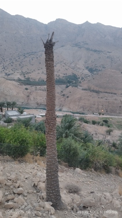 تنگ تکاب بهبهان زیبا