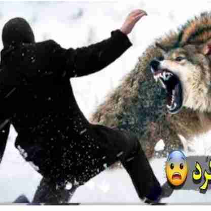 دوباره منتظرهمچبن صحنه ای باش 🐺🐺🌪️🌪️🌪️🌊🌊😉😉
