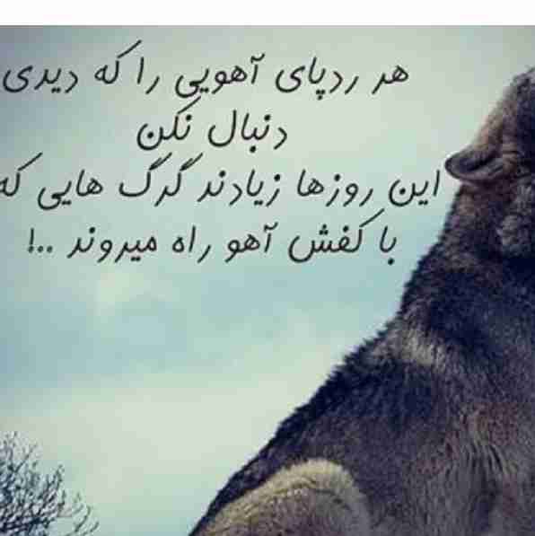 😉😉😉🐺😉🌪️