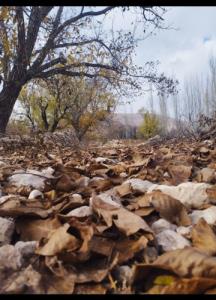 پاییز هزار رنگ 👌🍂🍁🍂🍁🍂🍁