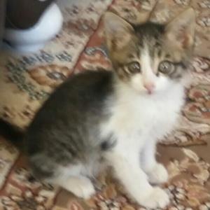 گالری گوشیمو پاک میکردم دیدم عکس بچگی دخمل😂