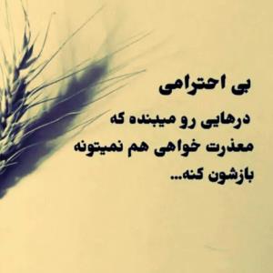 🔸️🔸️🔸️