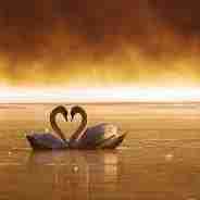 درود بر کسانی
که از پاکی‌شان دوستی آغاز
می‌شود...
از صداقت‌شان دوستی ادامه
می‌یابد...
و از وفایشان دوستی پایانی
ندارد...