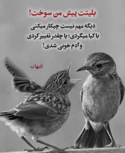 بلیتت پیش من سوخت!👉