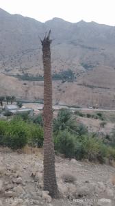 تنگ تکاب بهبهان زیبا