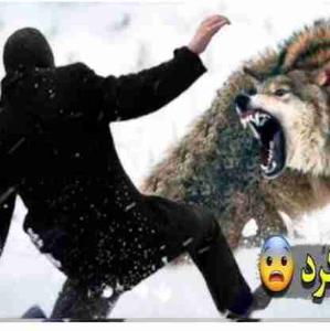 دوباره منتظرهمچبن صحنه ای باش 🐺🐺🌪️🌪️🌪️🌊🌊😉😉