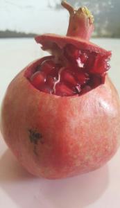 انار میوه ای که از دلتنگی دلش میترکد