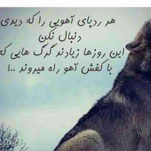 😉😉😉🐺😉🌪️