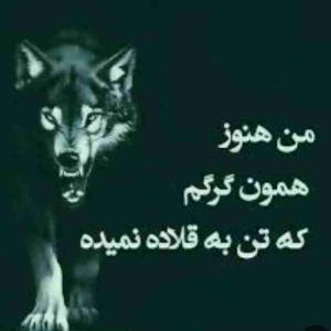 منتظر باش دوباره 🌪️🌪️🌪️🌊😉🌪️