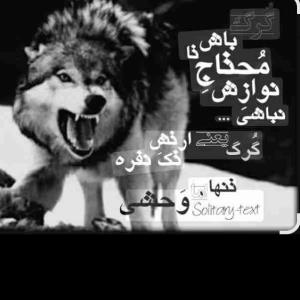 🌪️🌪️🌪️🌪️🌪️