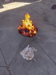 هرکی سردشه بفرما سیب زمینی هم داریم