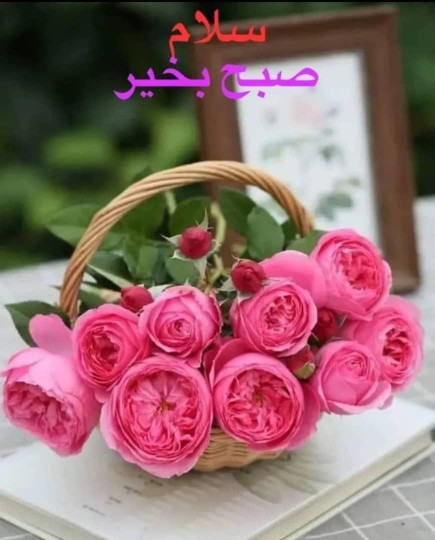 صبح بخیر تقدیم به بچه های خوب خبری