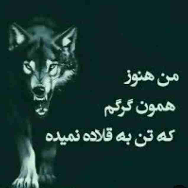 منتظر باش دوباره 🌪️🌪️🌪️🌊😉🌪️