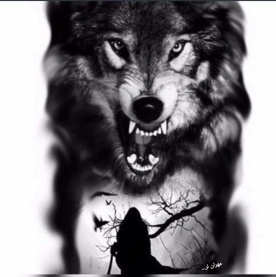 مهران لر..🤔🙄