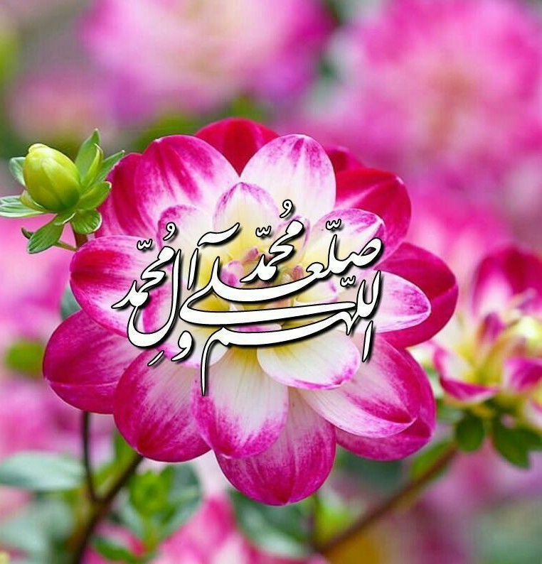 سلام صبح زیباتون بخیر 