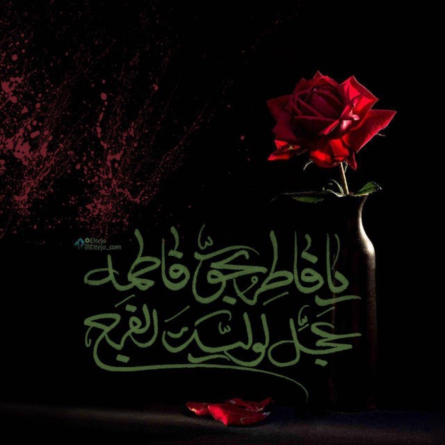 ♡الّلهُـمَّ‌عَجِّــلْ‌لِوَلِیِّڪَـــ‌الْفَـــرَج ♡

🕊___