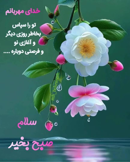 صبح تون بخیر 