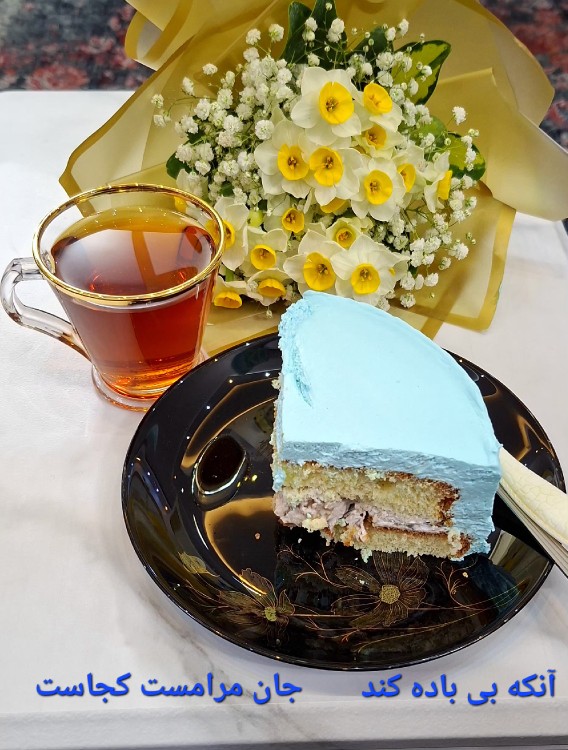 آرزوها همه بر باد شد و عمر گذشت !
هیچ کس ، هیچ مدالی ز صبوری