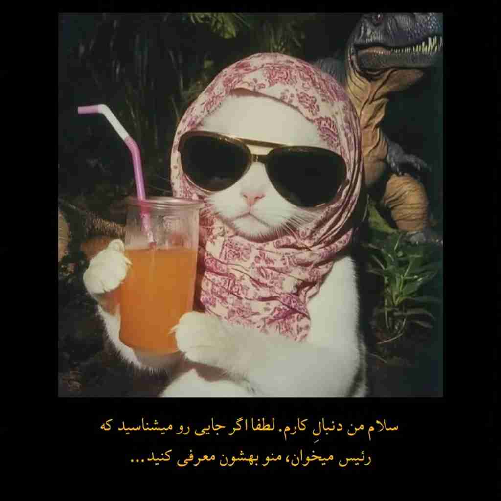 دنبال کارم😂💔