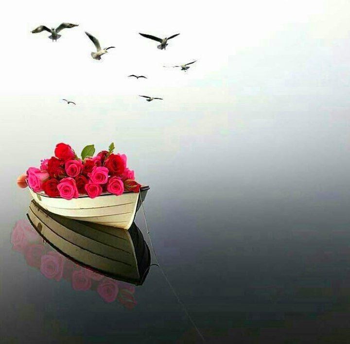 روزتون سرشار از انرژی مثبت