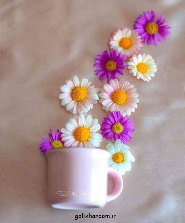 سلام زندگی عصرت قشنگ🕊❣🤞