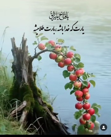 فقط خداوبس 🌟🌟