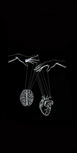 در نزاع عقل و دل آشفتگی ایراد نیست