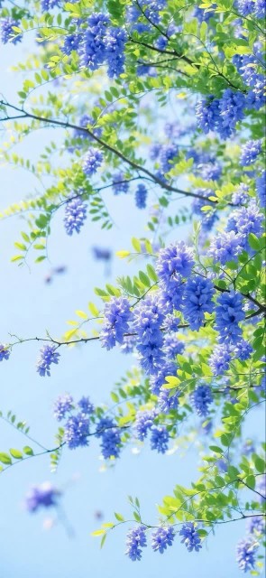 خیال کن که رفته‌ای 