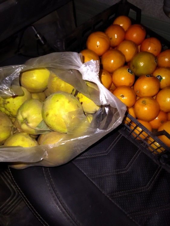 منم میخوام ترشی پرتقال بگیرم ،😂😂😂😂